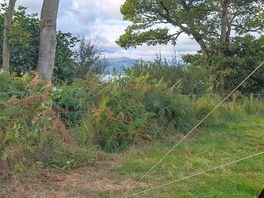 View of lake from our pitch
