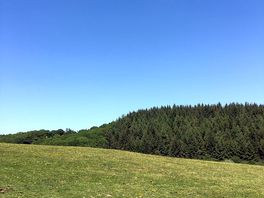 More views
