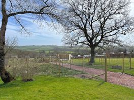 The farm