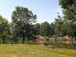 Petite balade autour de l' étang