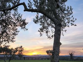 View from the campground