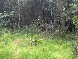 Forest swing