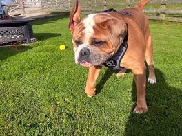 Vinnie living life