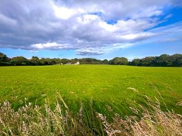Motorhome pitch
