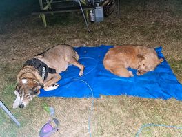 Exhausted after a day of walking