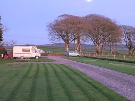 The pitches - beautiful grass