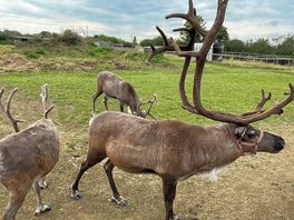 “where’s santa gone?”