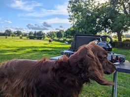 View from our tent - there is a fence between you and the horses but it doesn't spoil the view
