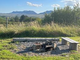 Fire pit