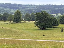Dinton park