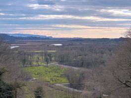View from site