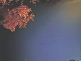 Beautiful view of the stars the picture does not do justice