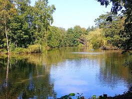 Lakeside
