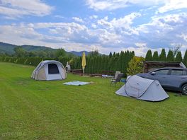 Pitches backed by cypress trees