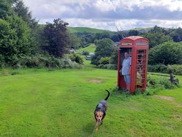 Lots of surprising elements, even on the dogwalk