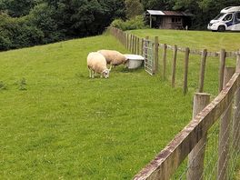 Nice neighbours