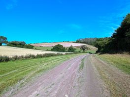 The track to the camping field