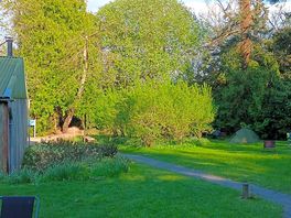 Walled garden area