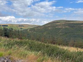 Thowliestane hill