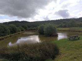 The site