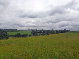 Views on walk