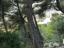 Vue