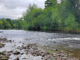 The river