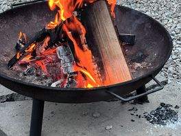 Fire pit with free wood and marshmallows!