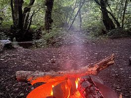 Campfire and woodland….perfect