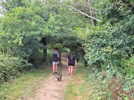 Lovely walks