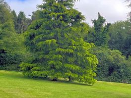 Beautiful surroundings