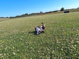 The off lead dog friendly field being thoroughly enjoyed!