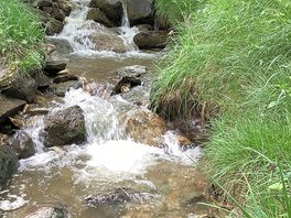 Stream
