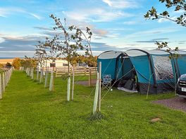 Good size tent pitches