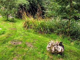 Quiet spot