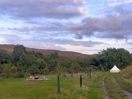 Campsite pitches