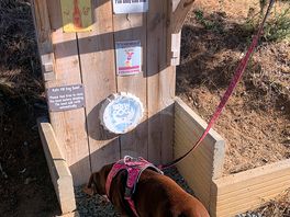 Dog drinking station near kissing gate.