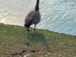 Another lake