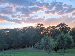 Our last evening