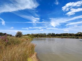 Paddleboarding/swim pond. £12.50 for 1hr paddleboarding with hire or £7.50 if you have your own.