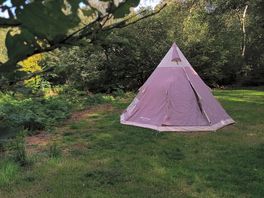 Space to pitch all sorts of tents