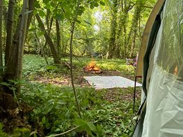 View from tent