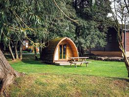 pod