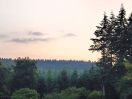 View from the non-electric field