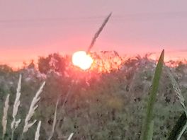 Beautiful sunset