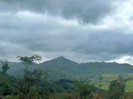 Scenery