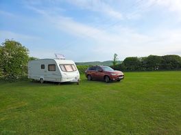 Our pitch