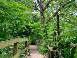 Walk in malmesbury