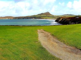 Beach Field