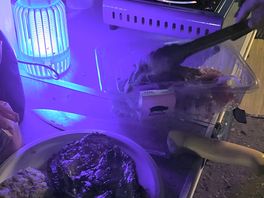 Cena